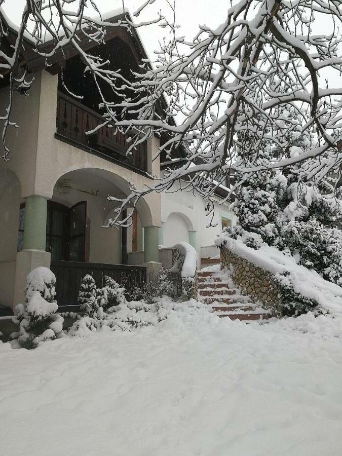 Hasik Hotel Magyarpolány Dış mekan fotoğraf
